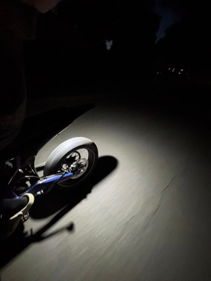 Plug & Play Ultra Bee Rock Light